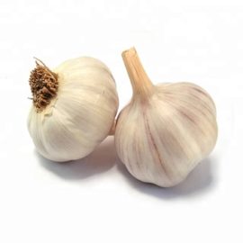 India garlic 500g