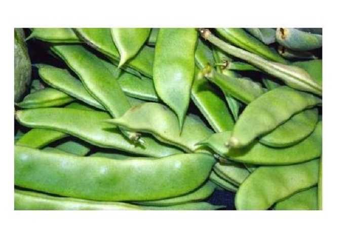 Broad Beans Avarai 500g