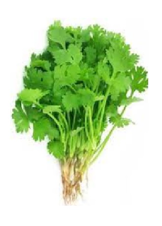 Coriander Leaves 100g