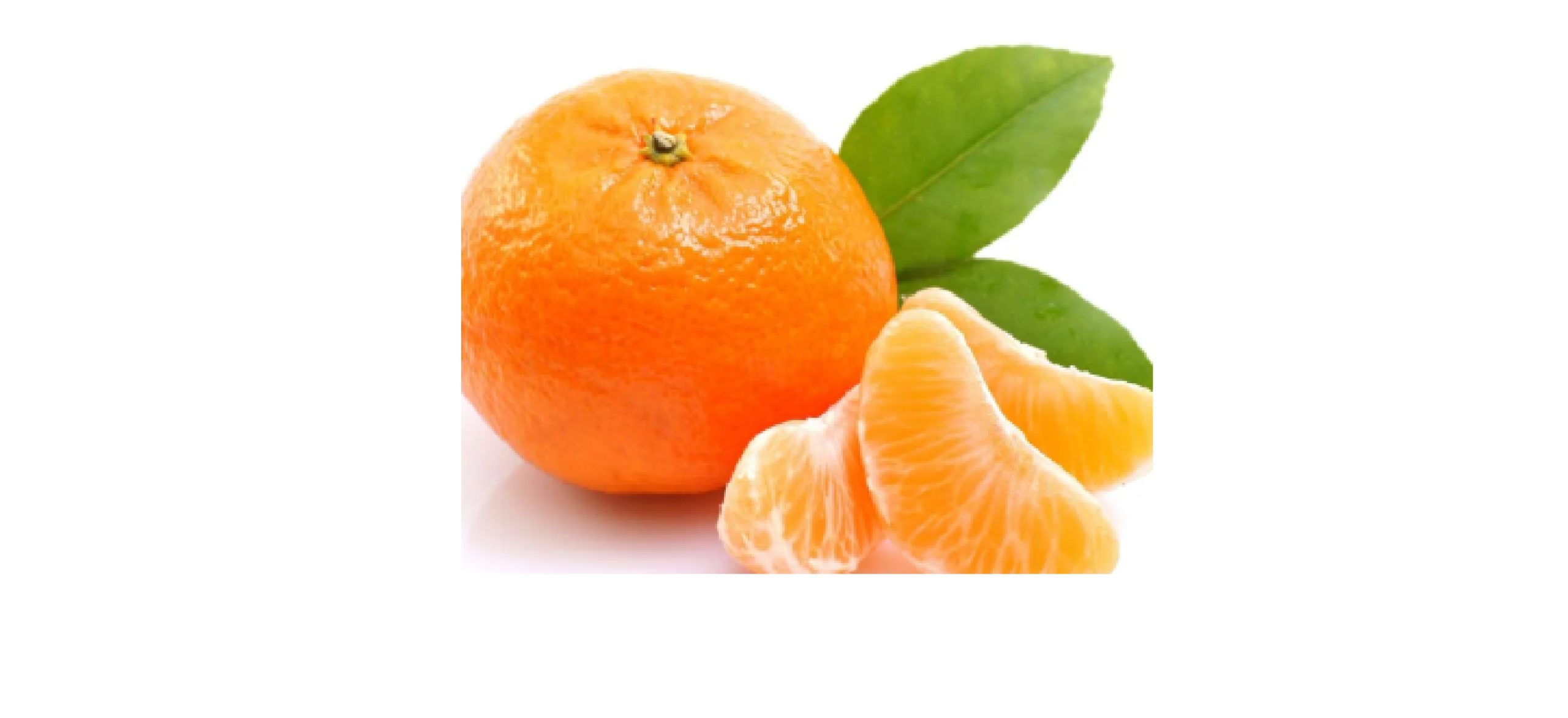Mandarin Orange -1pc