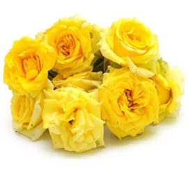 Yellow Rose -100g